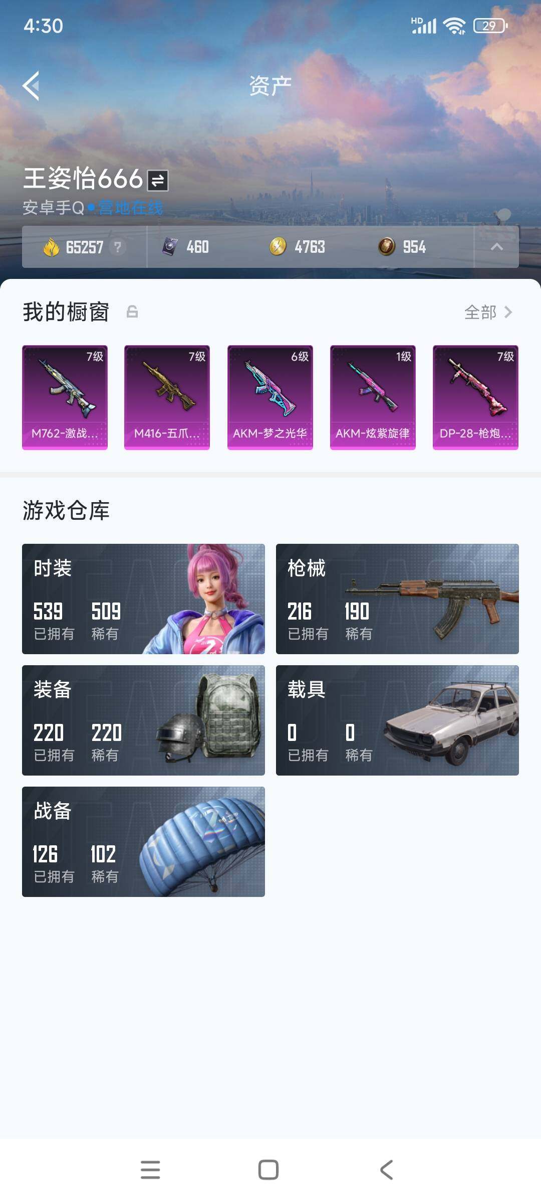 WZ03367012王者荣耀账号详情图24