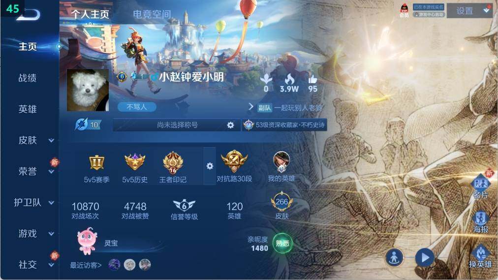 WZ03373490王者荣耀账号详情图16