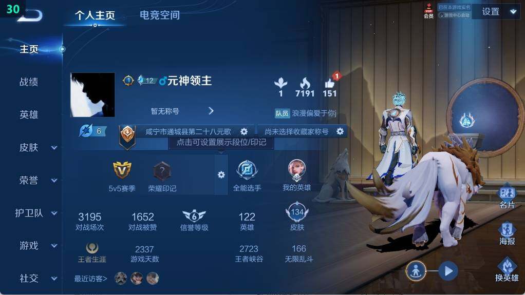 WZ03379959王者荣耀账号详情图5