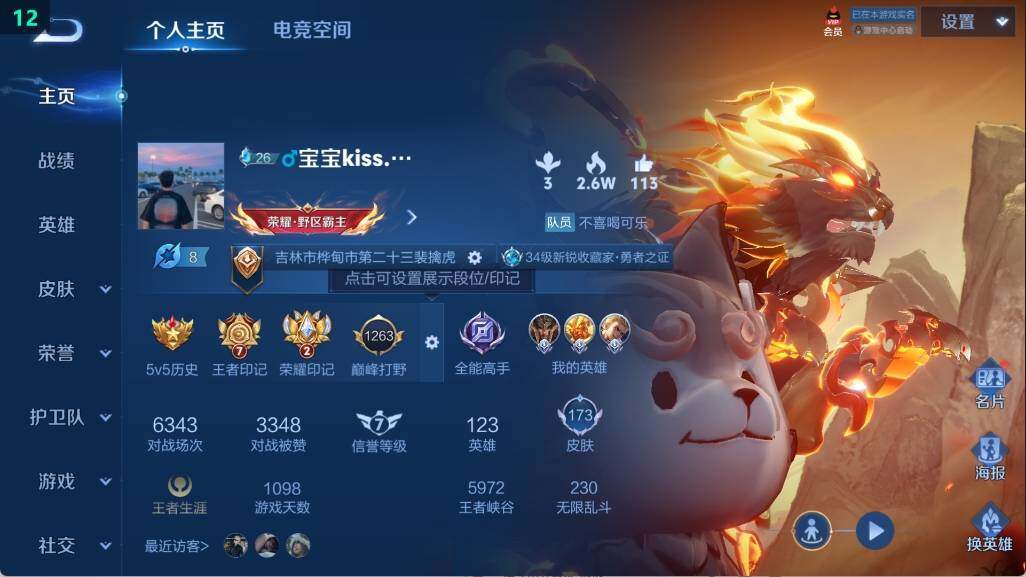 WZ03381404王者荣耀账号详情图8