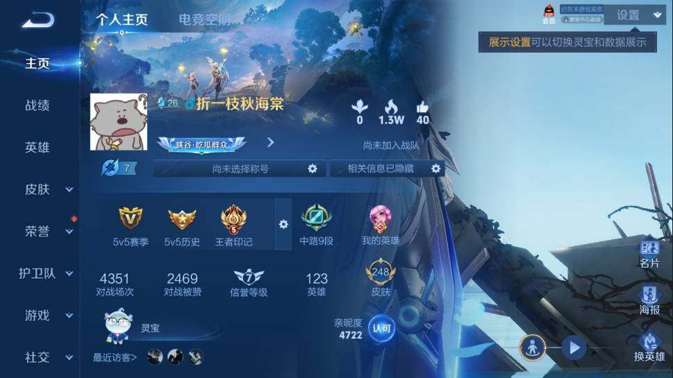 WZ03387940王者荣耀账号详情图8