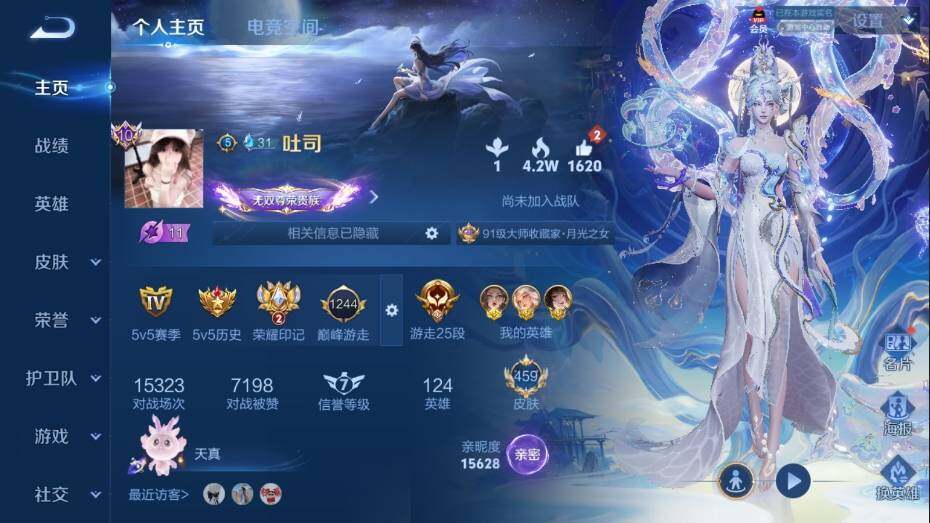 WZ03388988王者荣耀账号详情图11