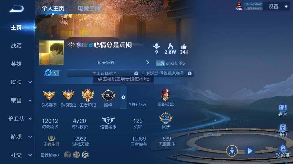 WZ03399825王者荣耀账号详情图7