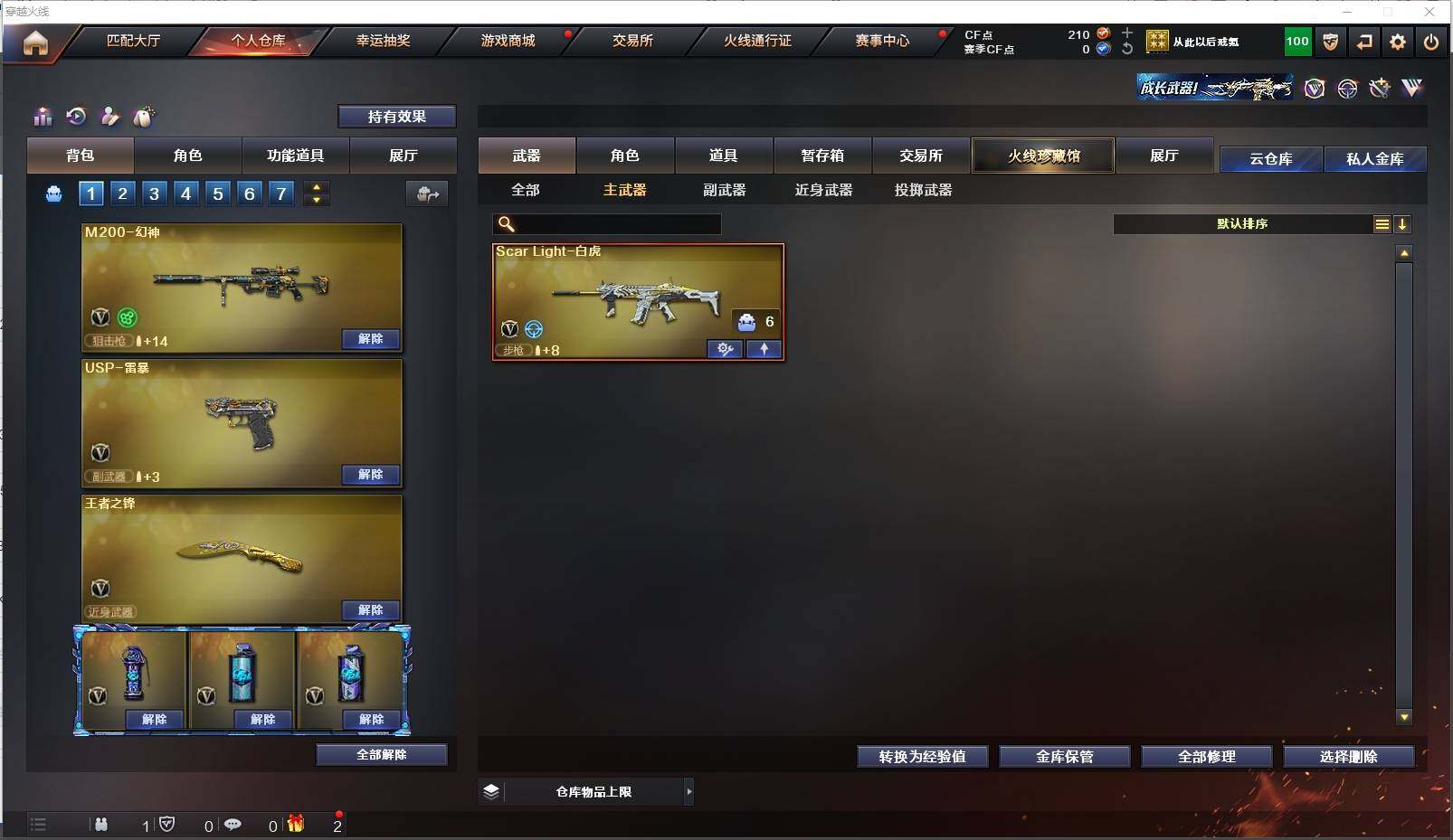 CFXS311360穿越火线账号详情图13