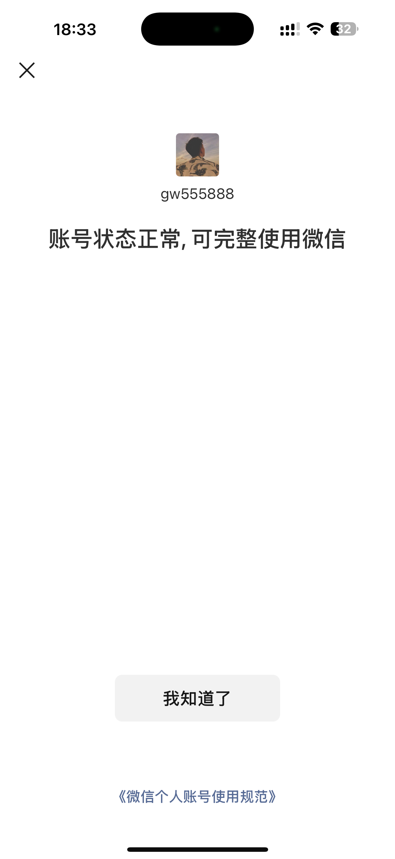 WZ033104251王者荣耀账号详情图12