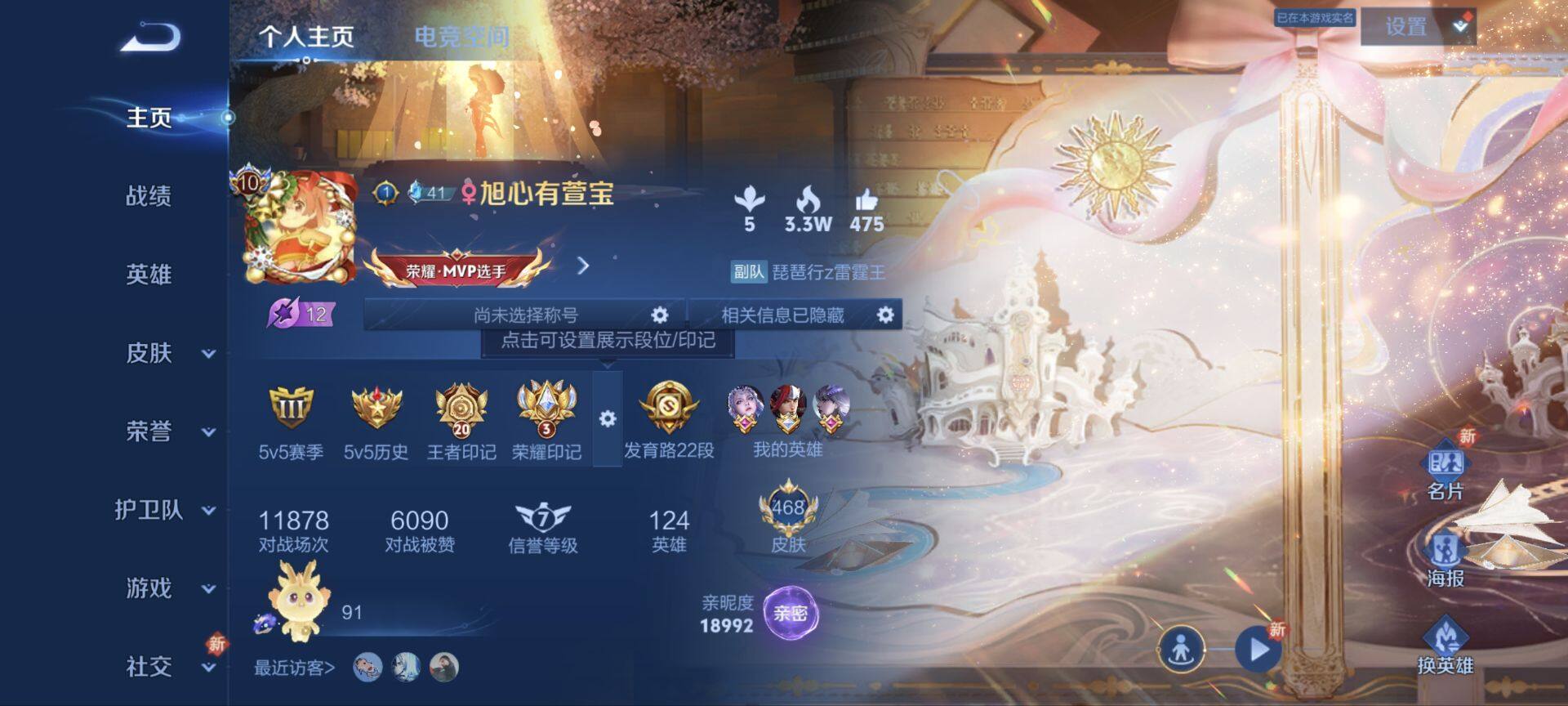 WZ033104233王者荣耀账号详情图13