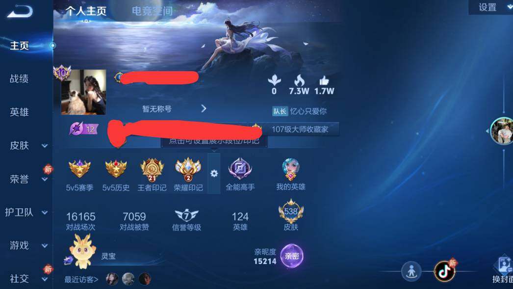 WZEY3135442王者荣耀账号详情图18 WZEY3135442王者荣耀账号详情图18