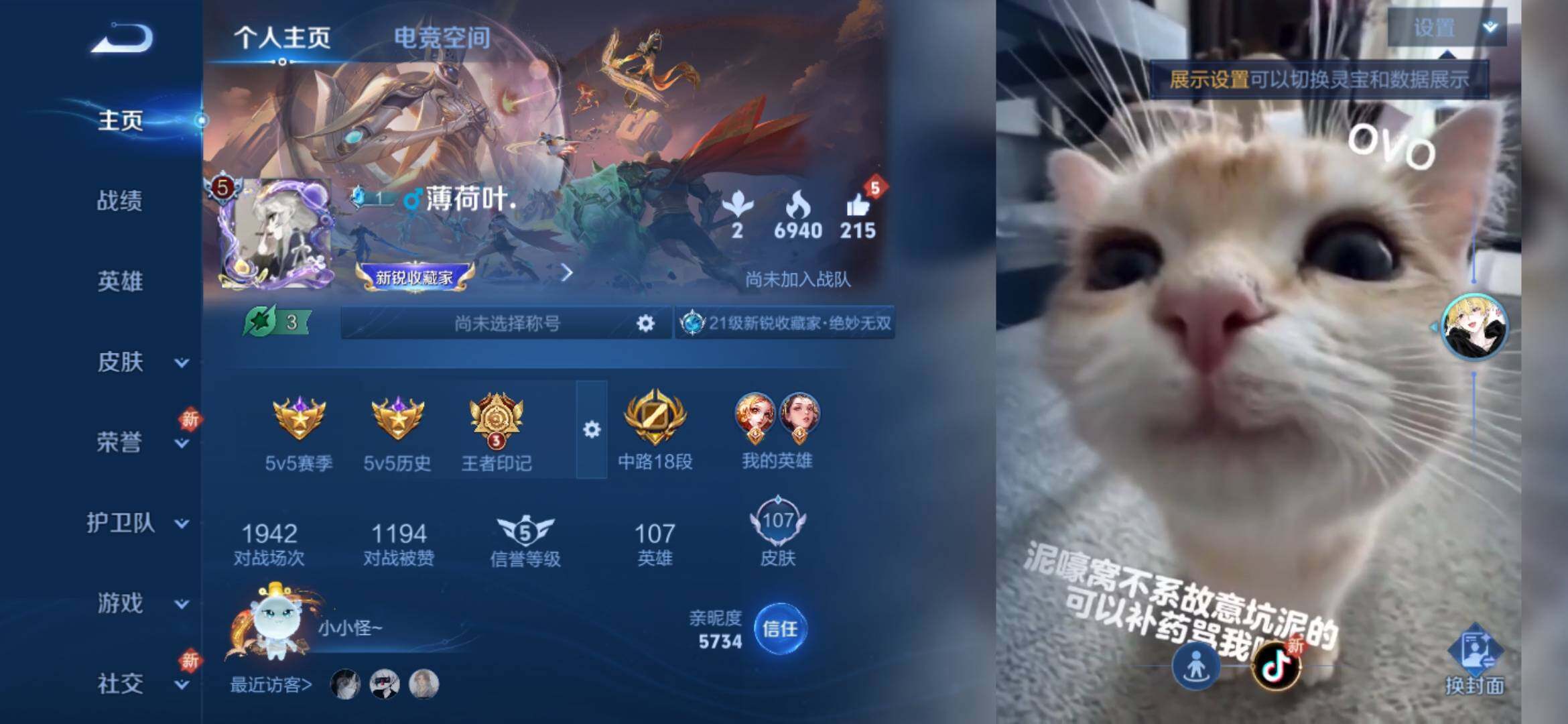 WZ033136020王者荣耀账号详情图3 WZ033136020王者荣耀账号详情图3