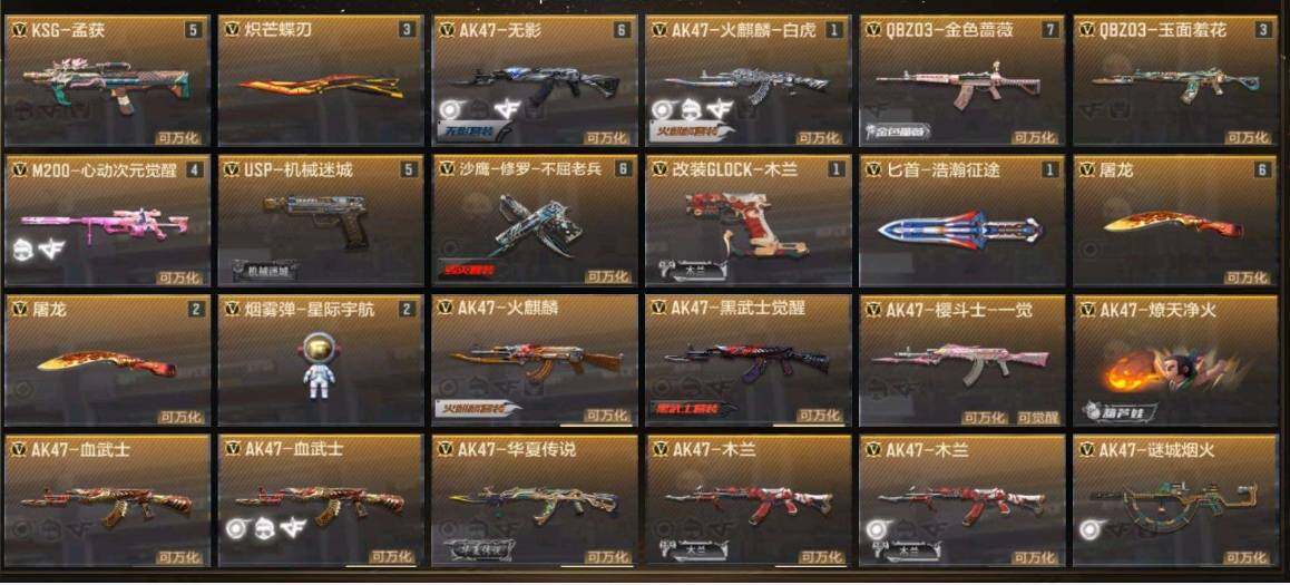 WZ033137196王者荣耀账号详情图19
