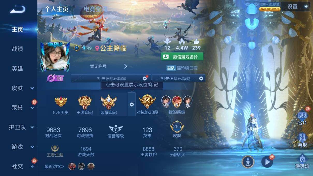 WZ033137688王者荣耀账号详情图7 WZ033137688王者荣耀账号详情图7