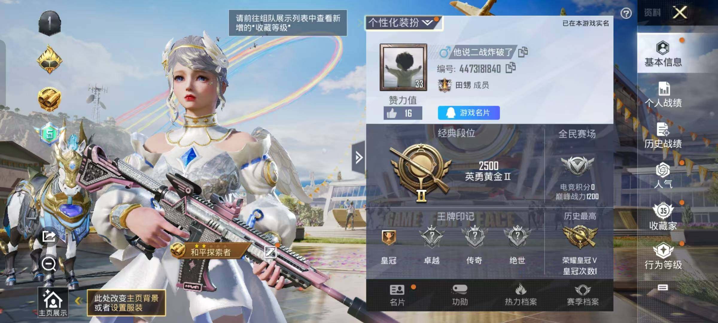 HPYXS3289484和平精英账号详情图2