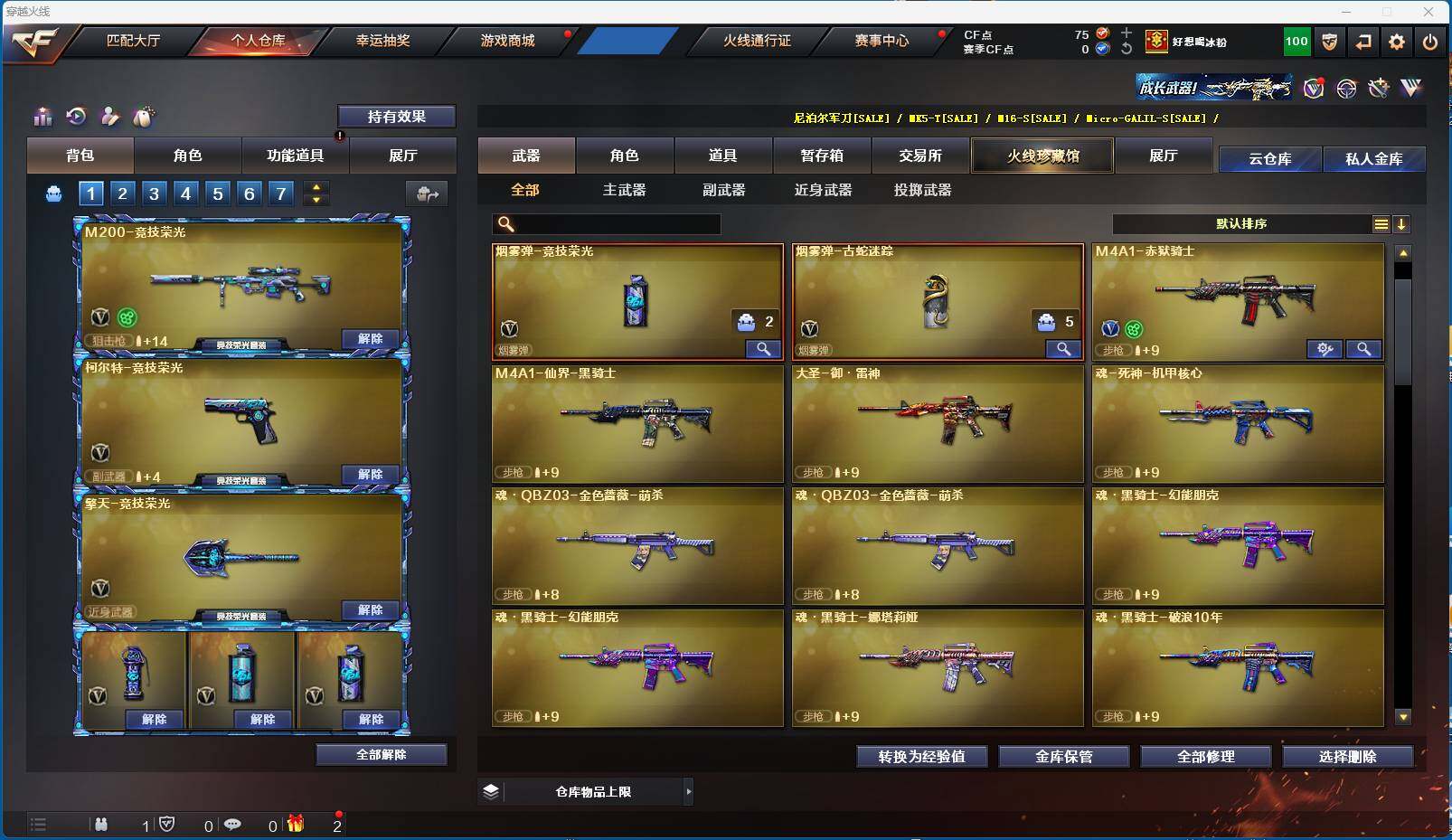 CFEY313985穿越火线账号详情图6 CFEY313985穿越火线账号详情图6