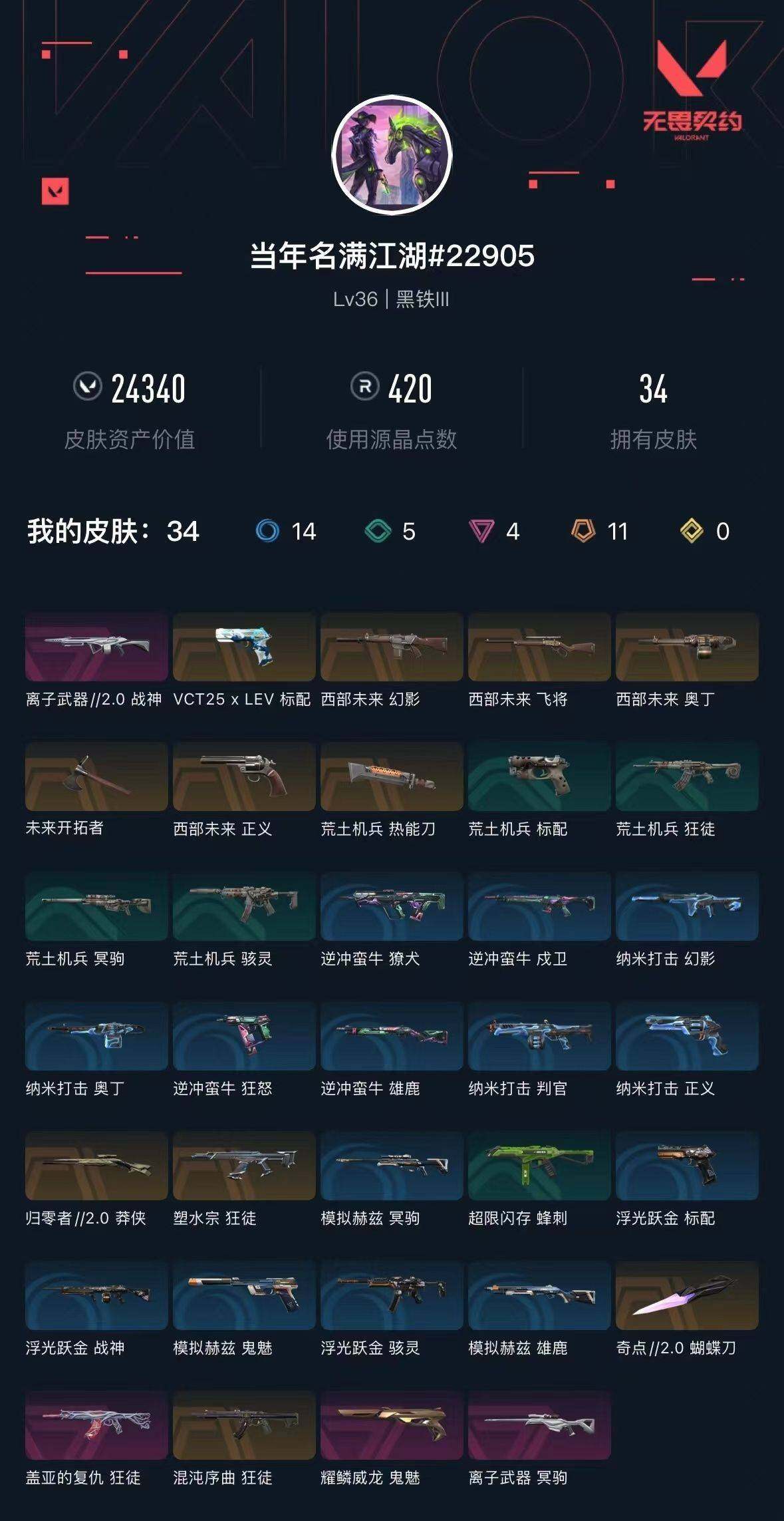 WWQXL34989无畏契约账号详情图5