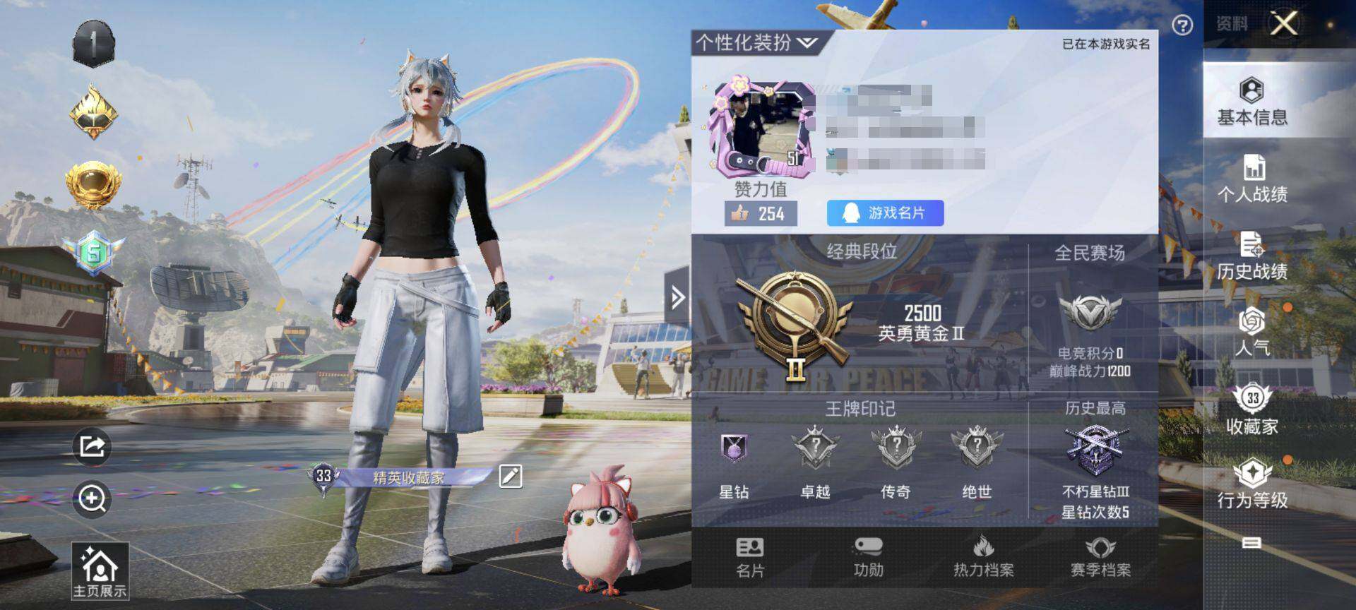 HPEY3252657和平精英账号详情图5