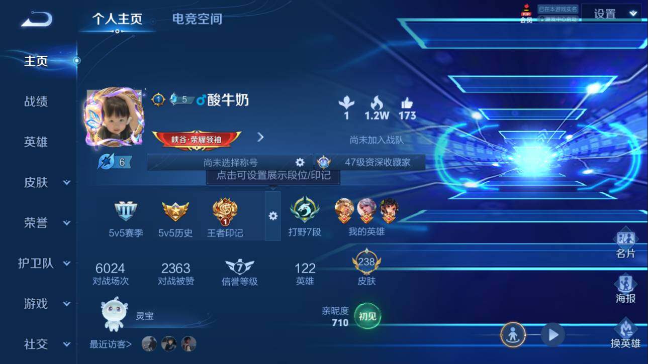 王者荣耀账号苹果QQ量精品账号】苹果Q-V8-尊贵铂金III段位-122英雄-238皮肤-2典藏-9传说-58史诗-10