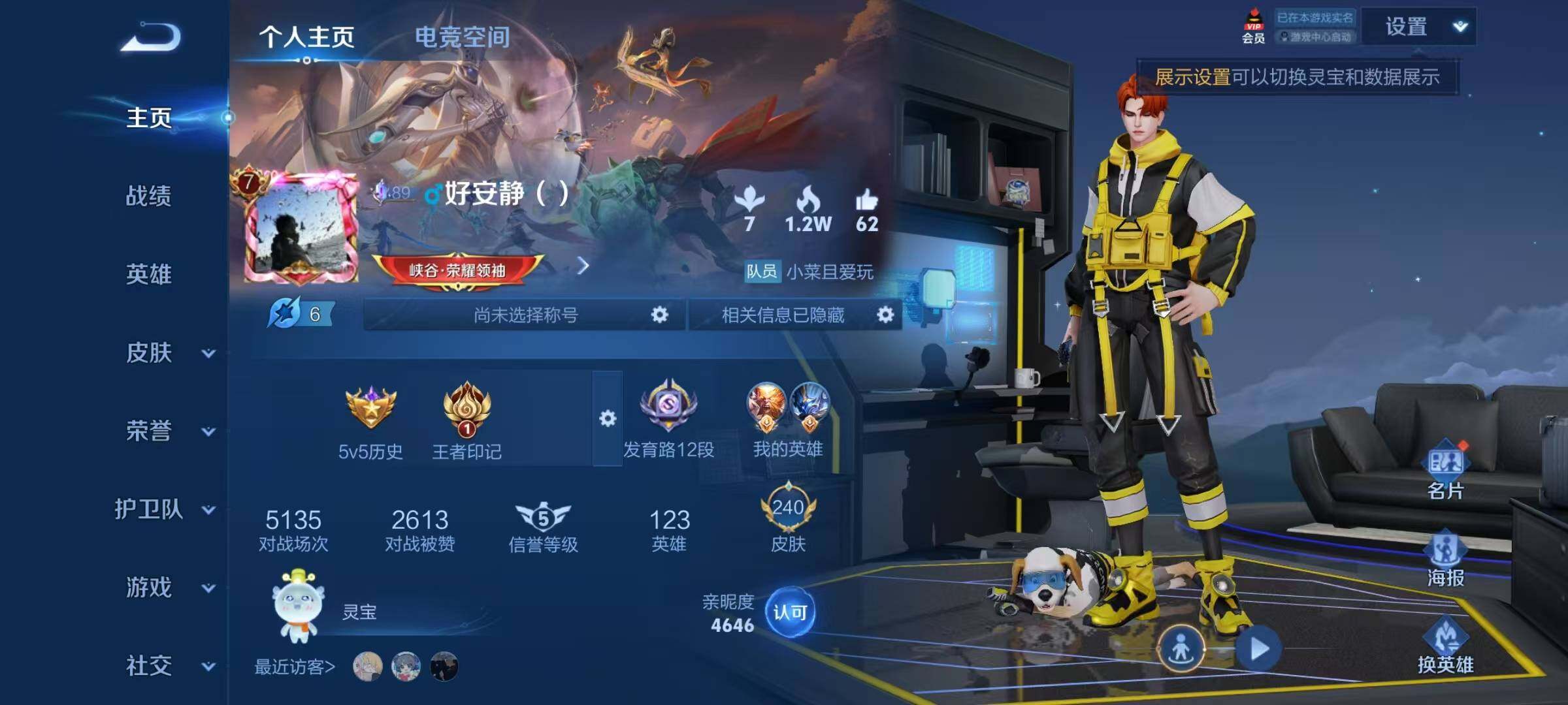 WZJZ3160463王者荣耀账号详情图5