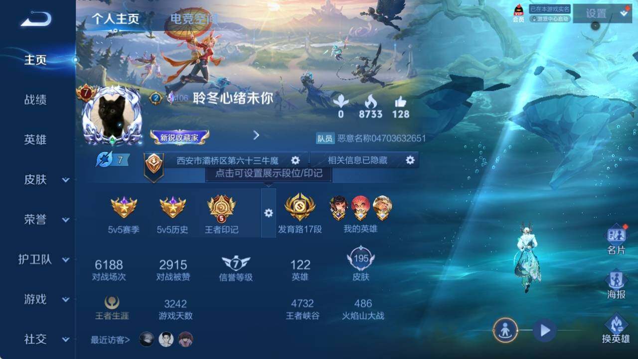 WZ033158438王者荣耀账号详情图11