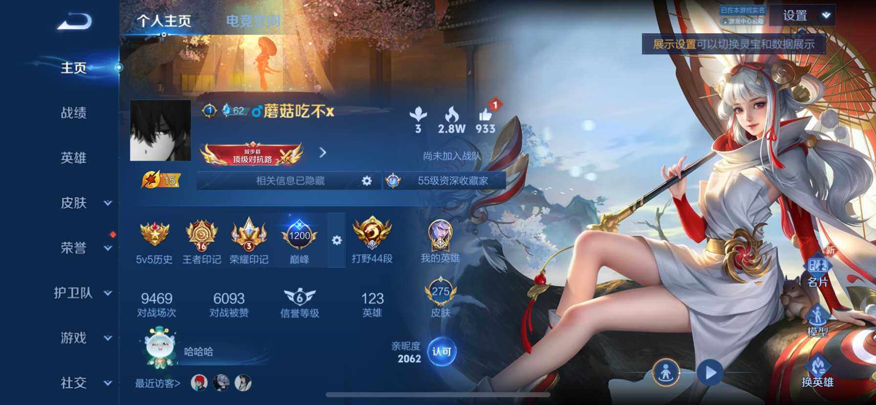 WZ033161717王者荣耀账号详情图20 WZ033161717王者荣耀账号详情图20