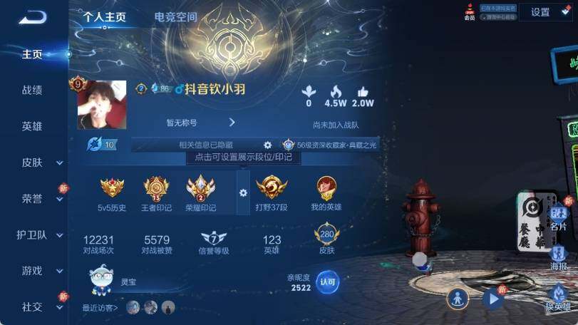 WZ033163168王者荣耀账号详情图8 WZ033163168王者荣耀账号详情图8