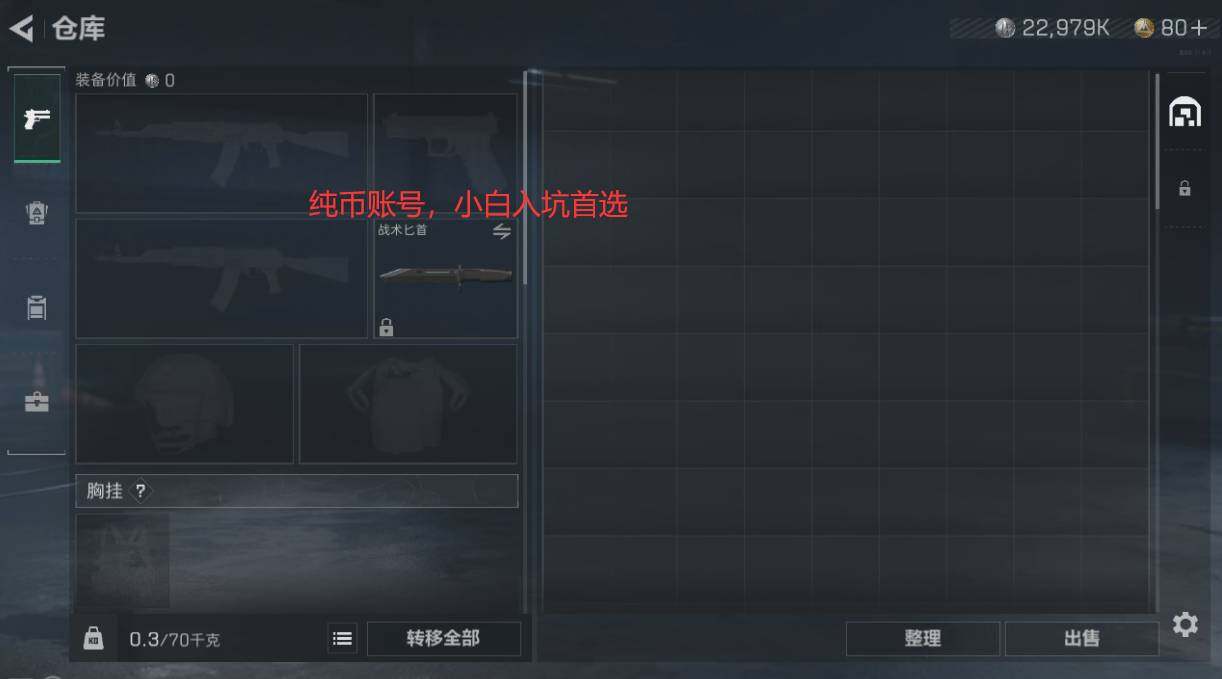 SJZYXS318393三角洲行动账号详情图2