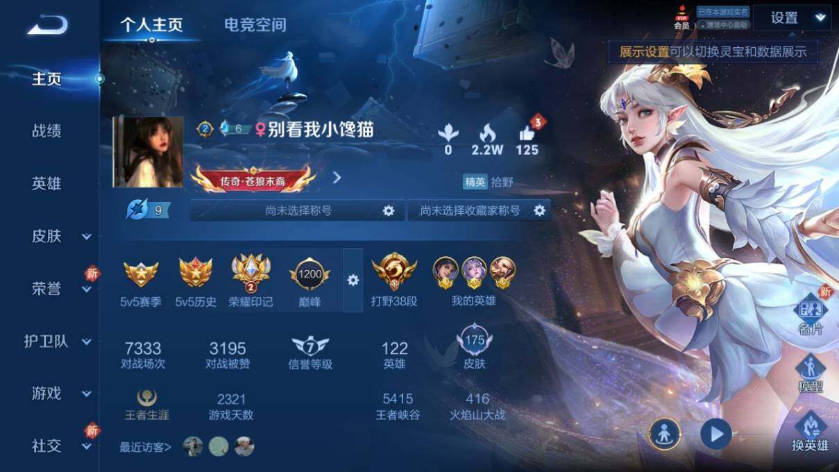 WZ033164891王者荣耀账号详情图5 WZ033164891王者荣耀账号详情图5