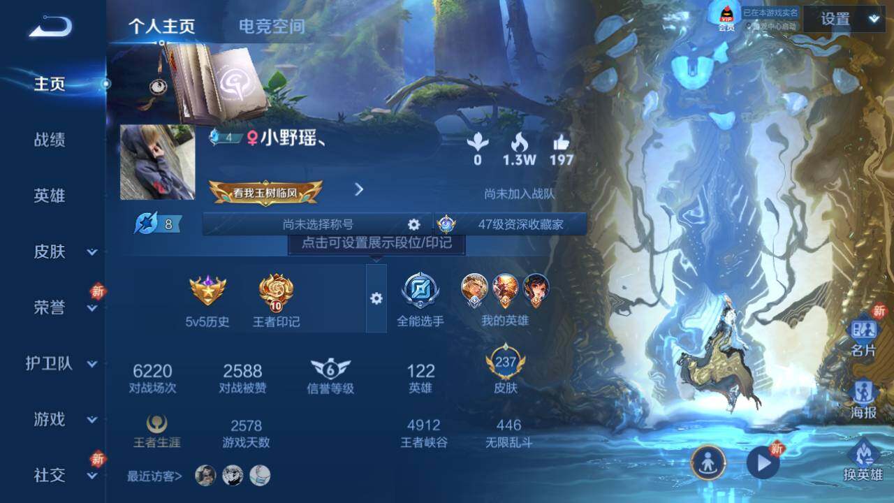 WZEY3166740王者荣耀账号详情图5 WZEY3166740王者荣耀账号详情图5