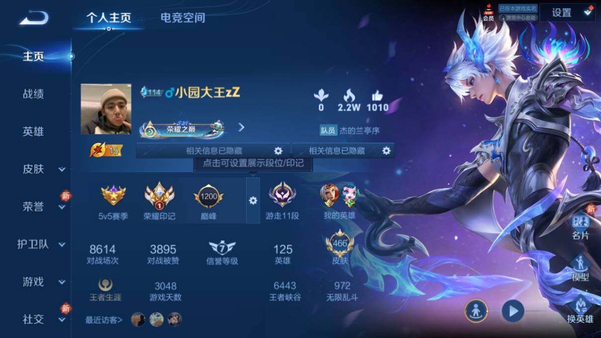WZ033169244王者荣耀账号详情图8 WZ033169244王者荣耀账号详情图8