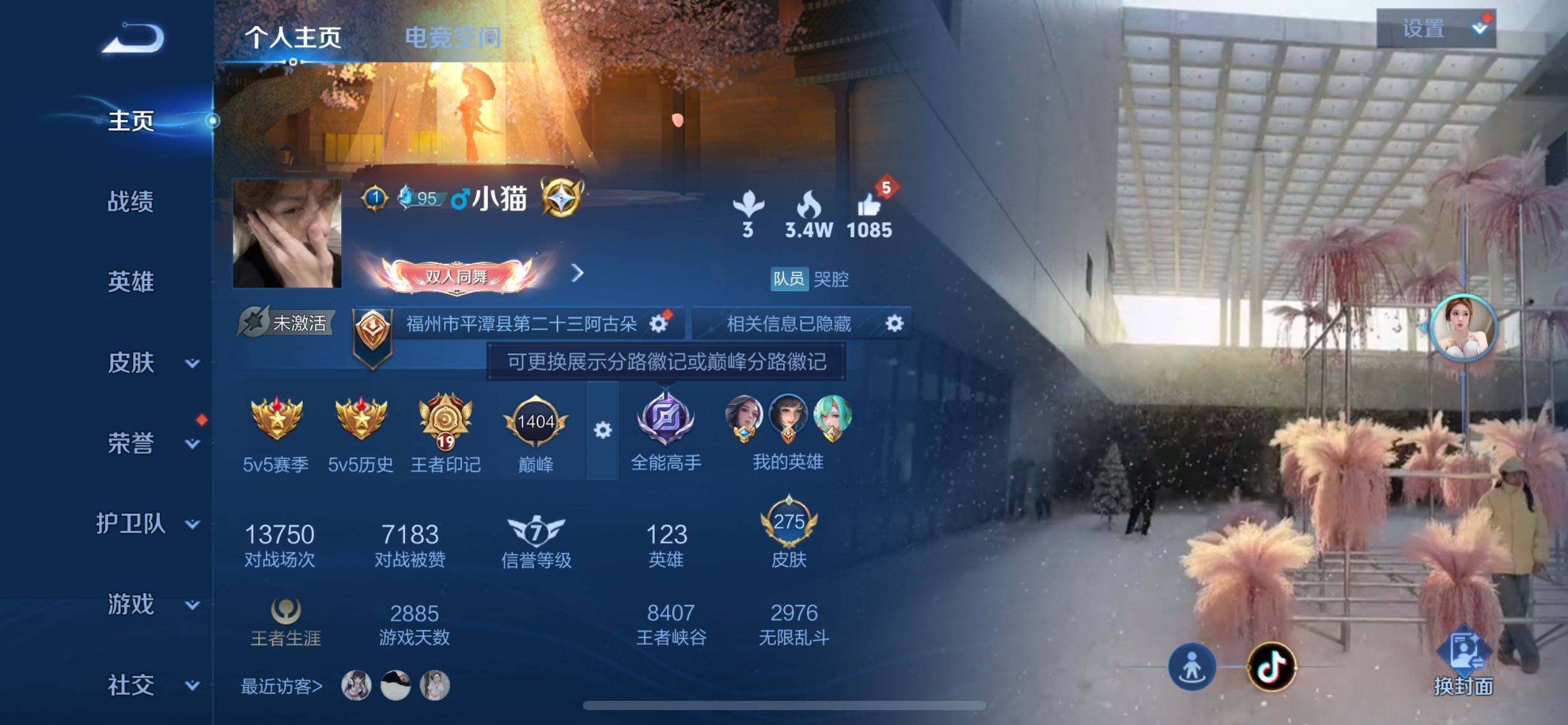 WZ033171102王者荣耀账号详情图8 WZ033171102王者荣耀账号详情图8