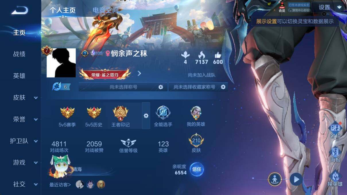 WZ033171104王者荣耀账号详情图6 WZ033171104王者荣耀账号详情图6