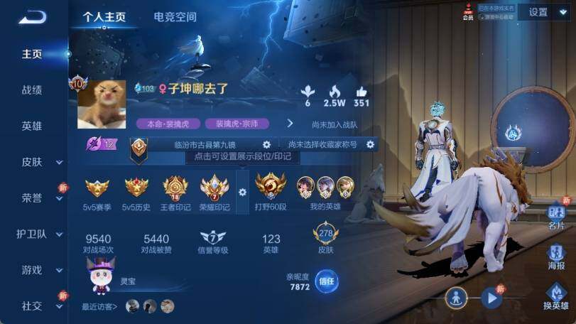 WZ033174618王者荣耀账号详情图8 WZ033174618王者荣耀账号详情图8