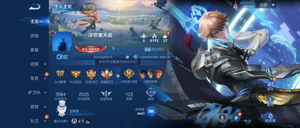 WZ033176319王者荣耀账号详情图5 WZ033176319王者荣耀账号详情图5