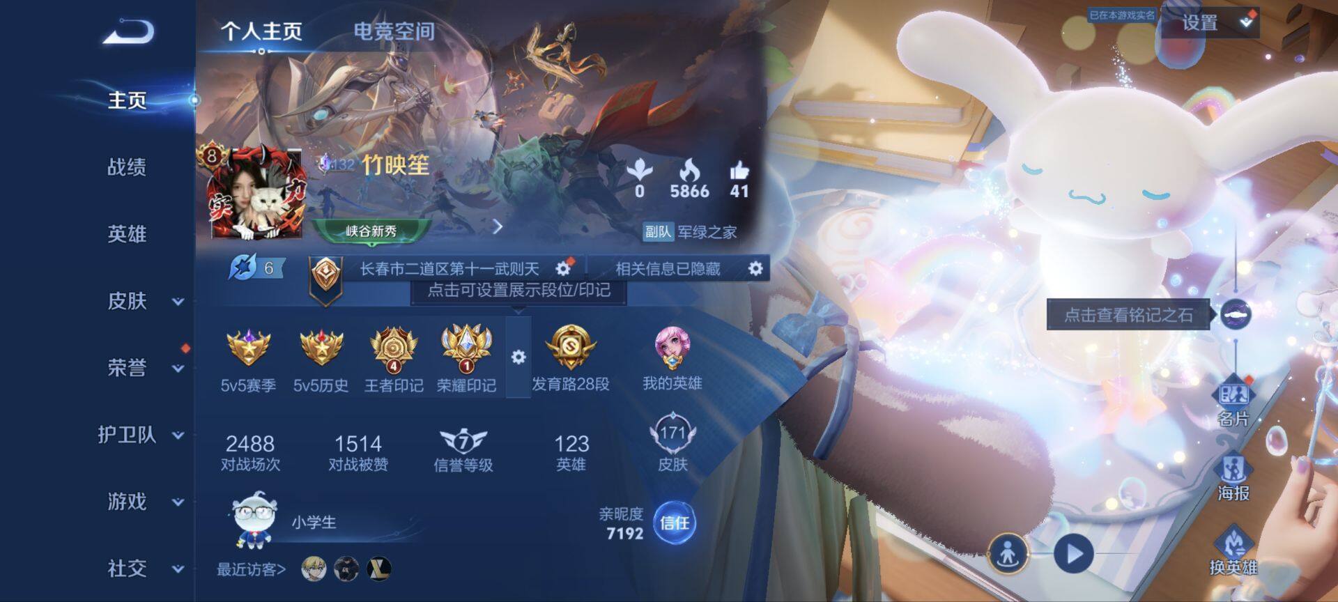WZ033176300王者荣耀账号详情图15 WZ033176300王者荣耀账号详情图15