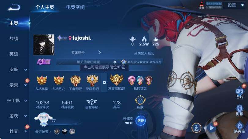WZ033177766王者荣耀账号详情图8