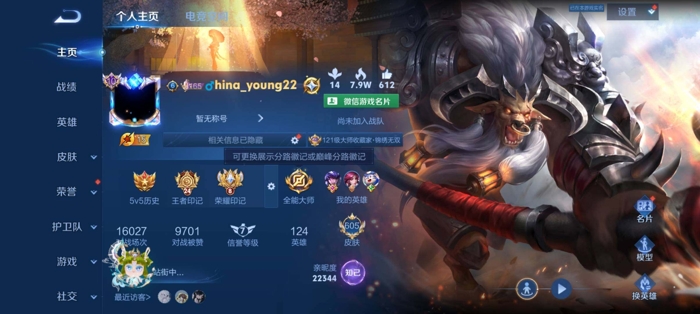 WZ033177635王者荣耀账号详情图22 WZ033177635王者荣耀账号详情图22