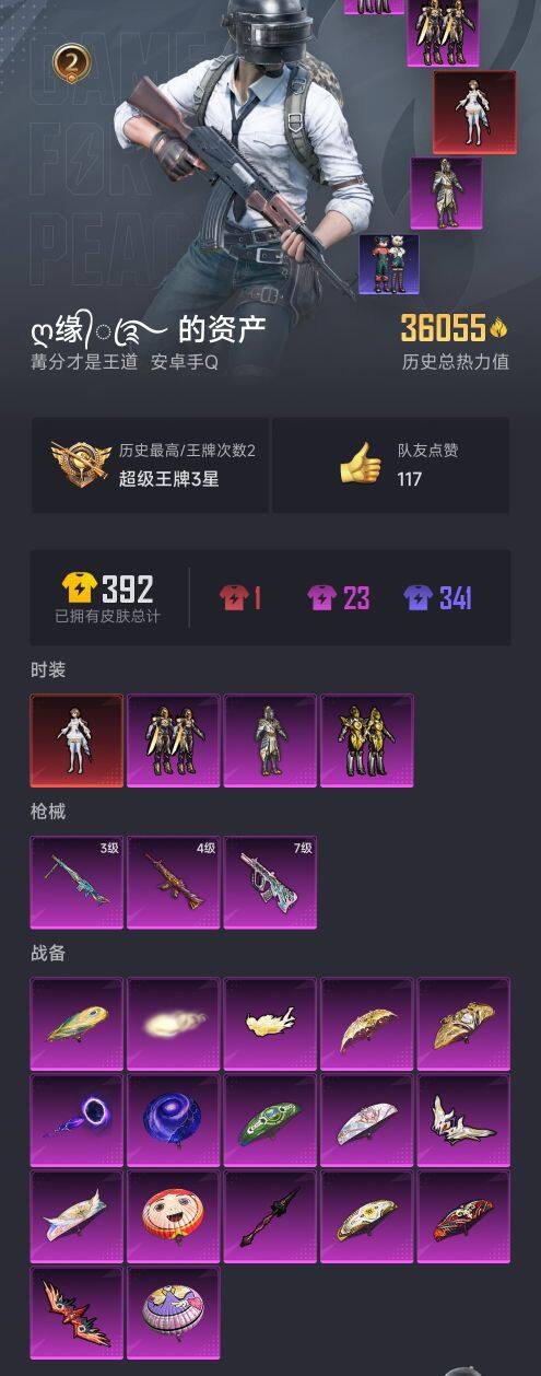 WZ033178519王者荣耀账号详情图17 WZ033178519王者荣耀账号详情图17