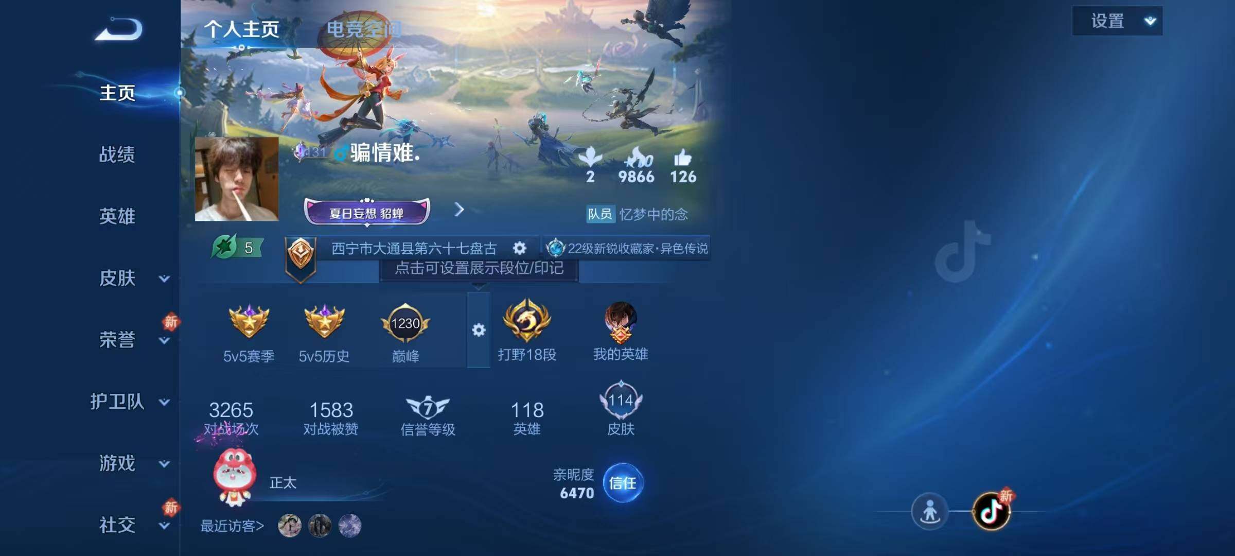 WZJZ3199614王者荣耀账号详情图5