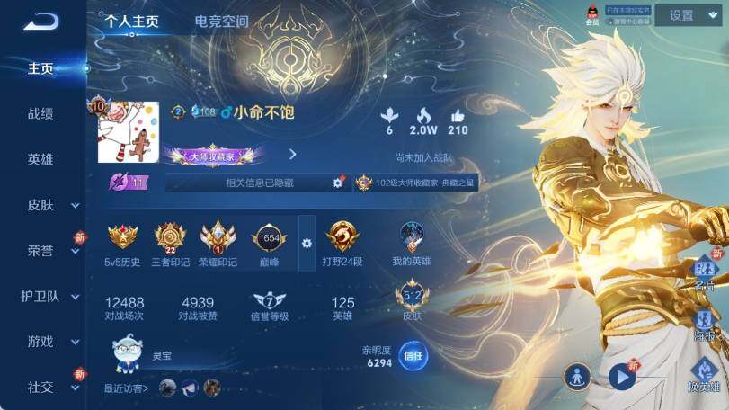 WZ033183148王者荣耀账号详情图11