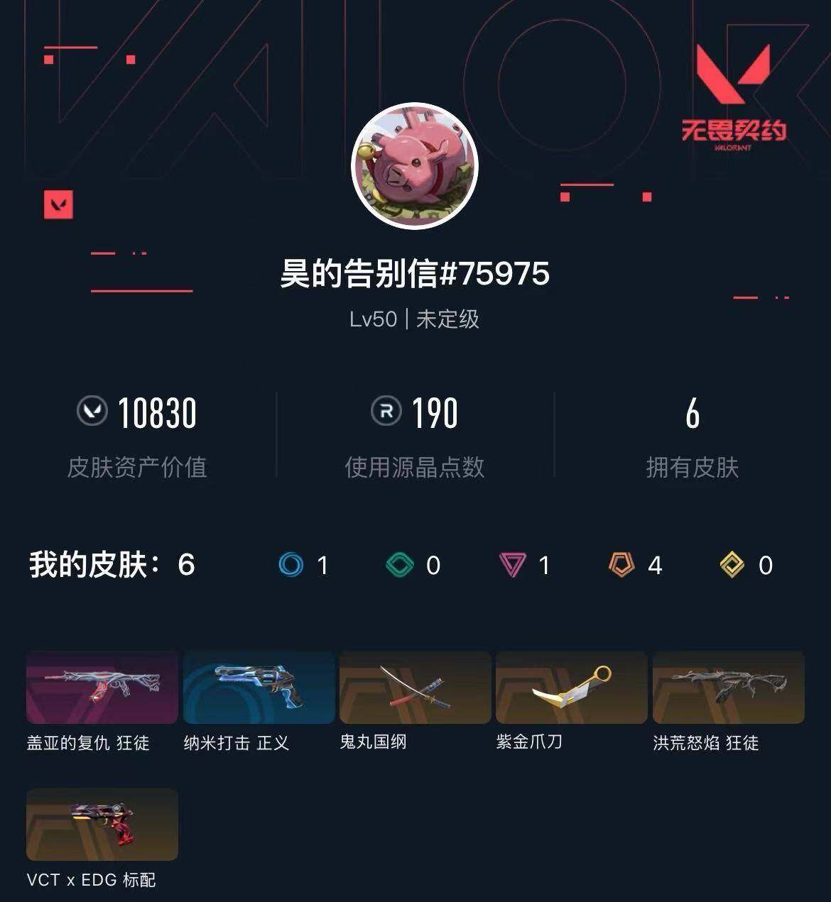 WWQXL36949无畏契约账号详情图2