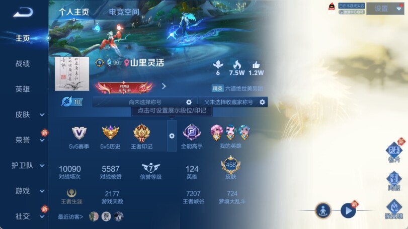 WZ033185320王者荣耀账号详情图11