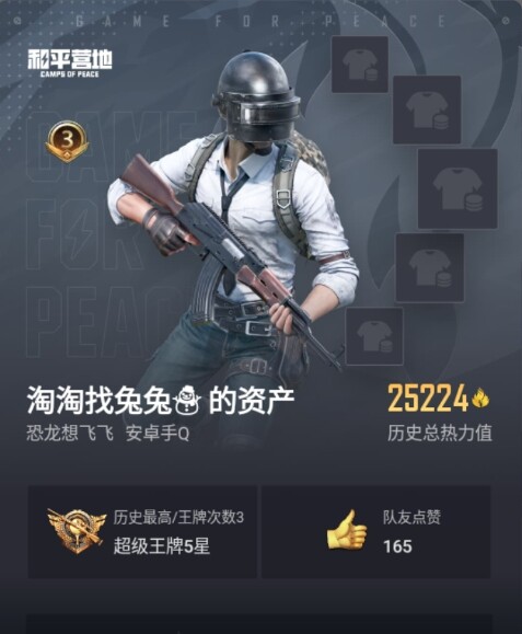WZ033188482王者荣耀账号详情图25 WZ033188482王者荣耀账号详情图25