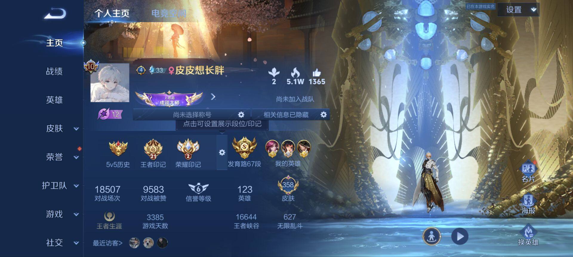 WZ033189890王者荣耀账号详情图18 WZ033189890王者荣耀账号详情图18