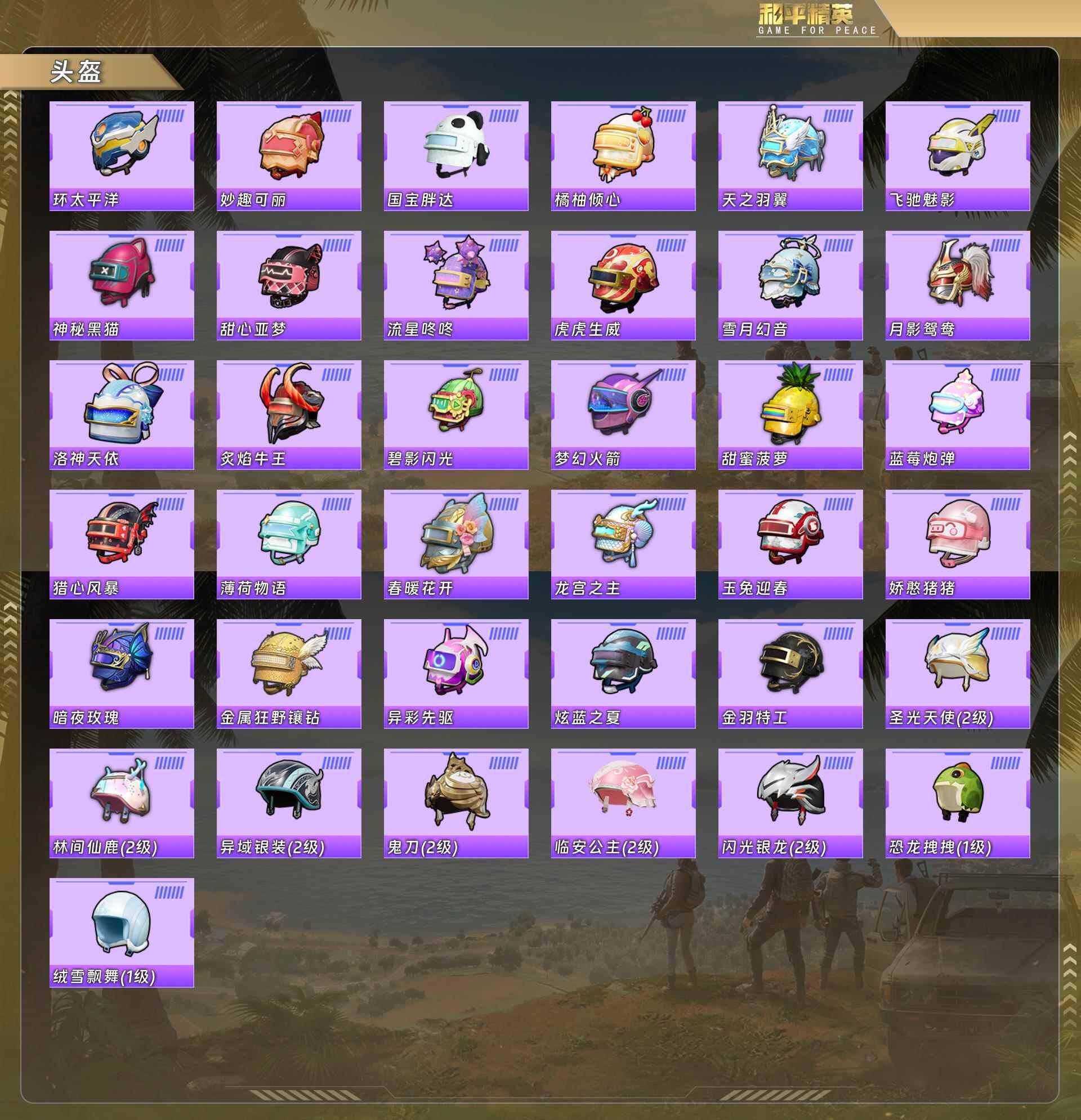 HPCMW4159733和平精英账号详情图10 HPCMW4159733和平精英账号详情图10