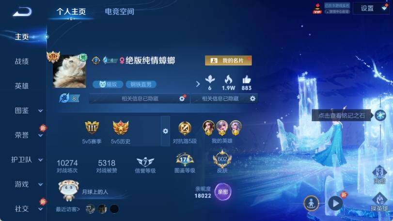 WZ033193481王者荣耀账号详情图13 WZ033193481王者荣耀账号详情图13