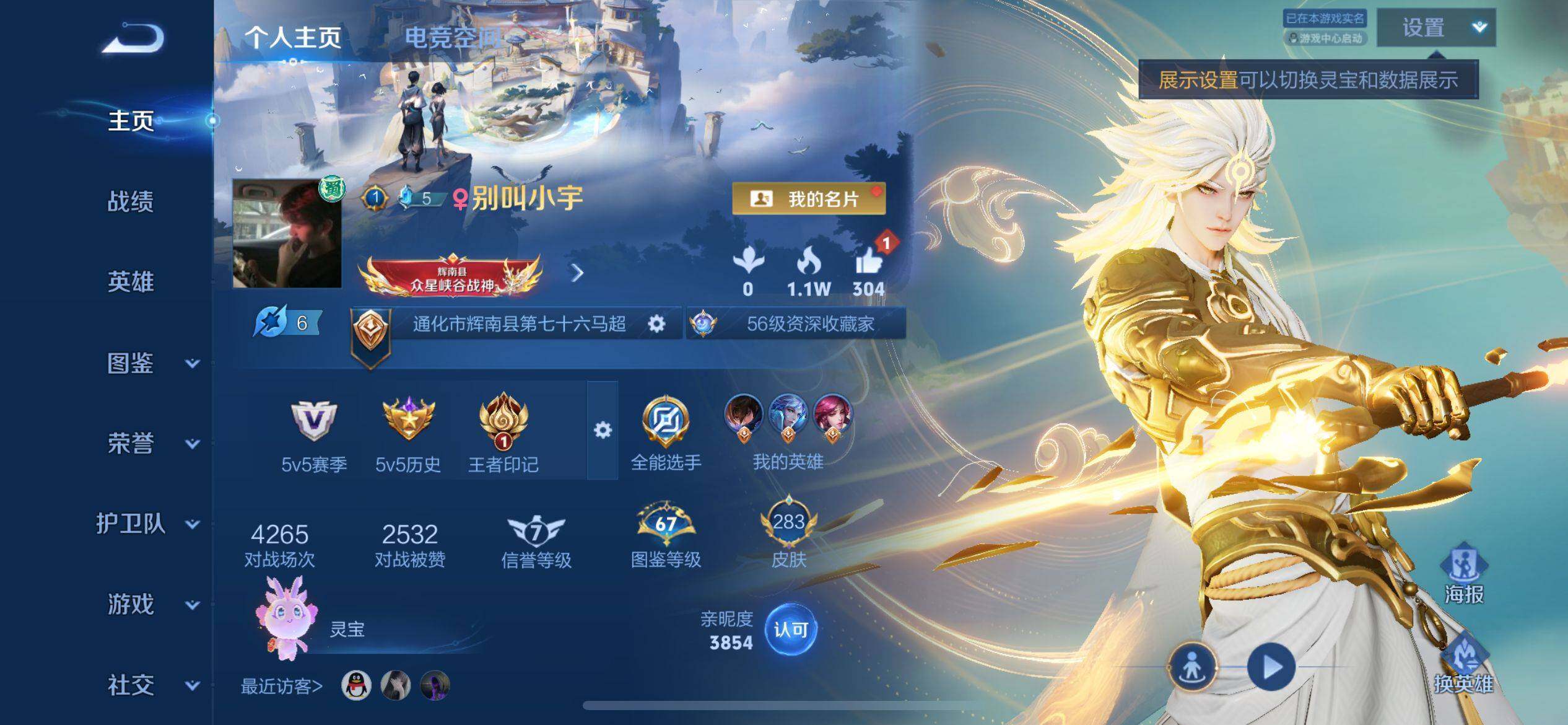WZ033194733王者荣耀账号详情图7 WZ033194733王者荣耀账号详情图7