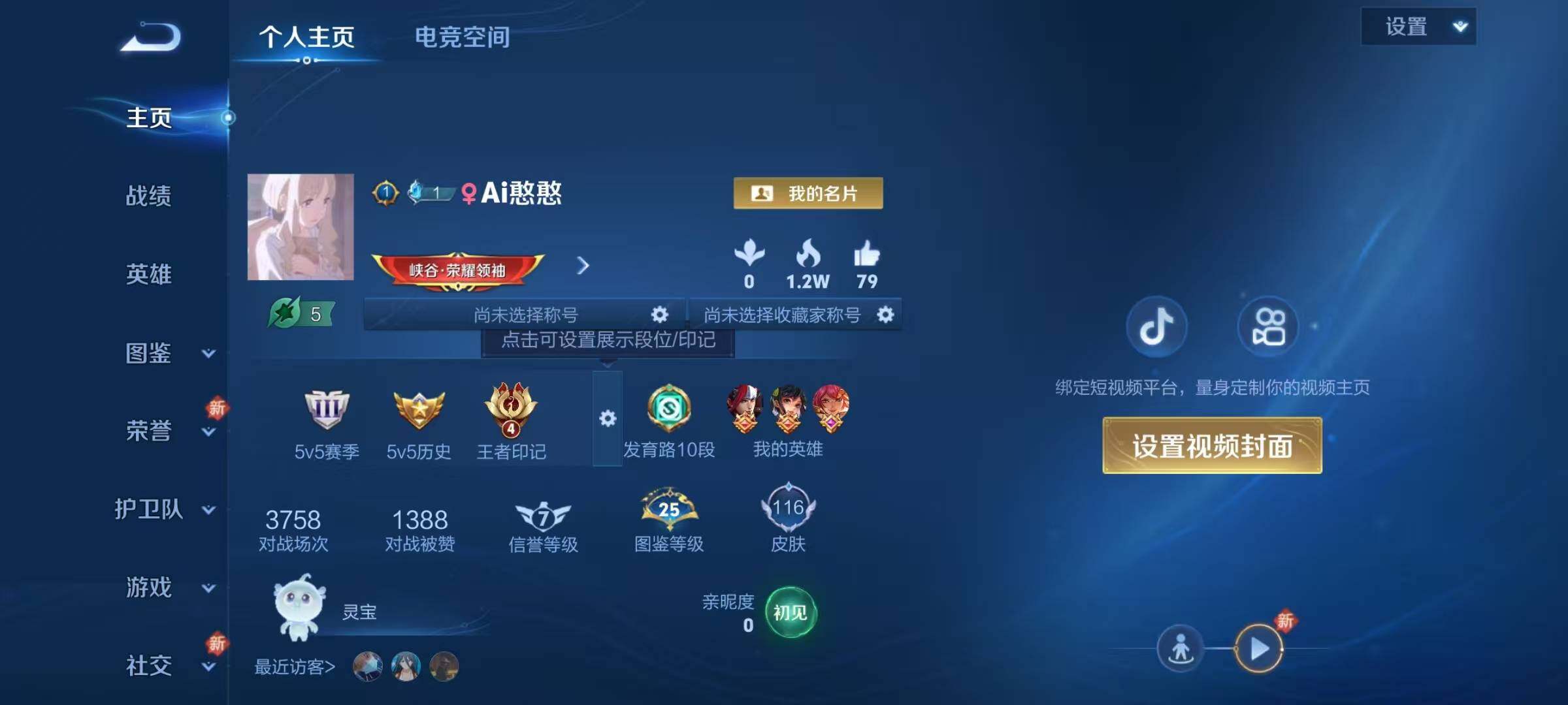 WZJZ3197008王者荣耀账号详情图4 WZJZ3197008王者荣耀账号详情图4