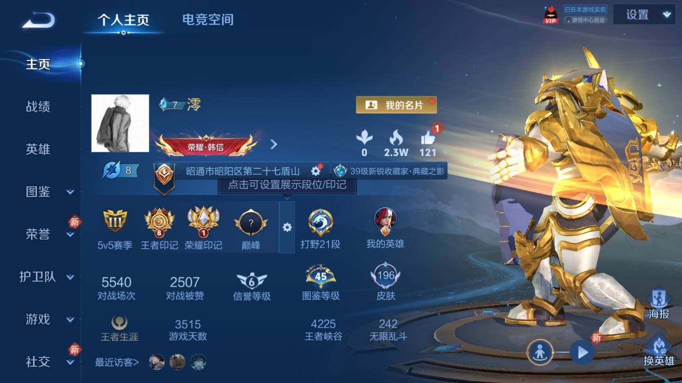 WZ033195738王者荣耀账号详情图7 WZ033195738王者荣耀账号详情图7