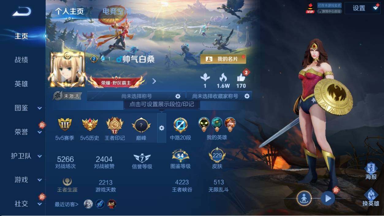 WZ033196446王者荣耀账号详情图6 WZ033196446王者荣耀账号详情图6