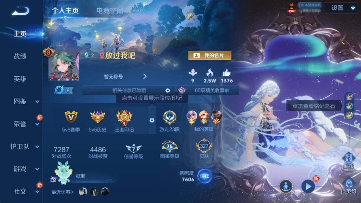WZ033196290王者荣耀账号详情图8
