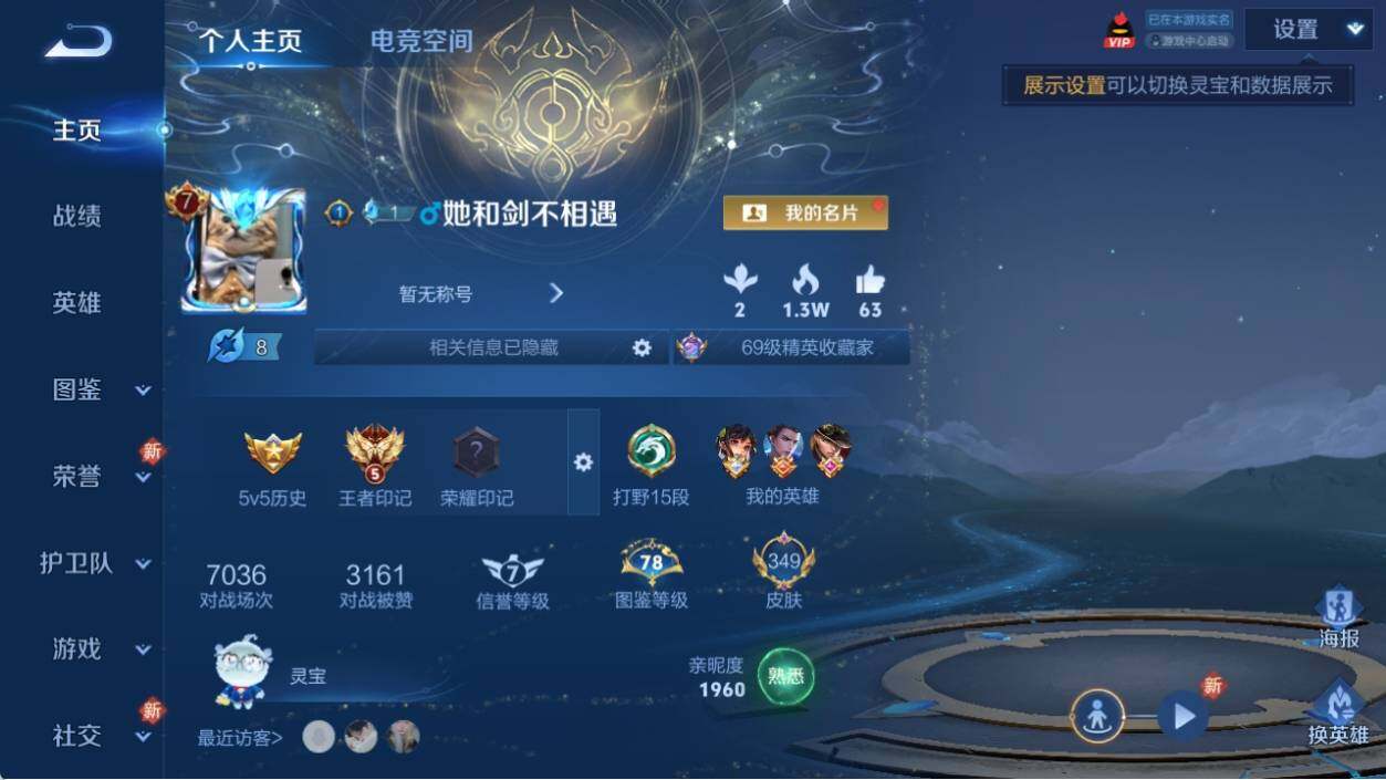 WZ033196315王者荣耀账号详情图9