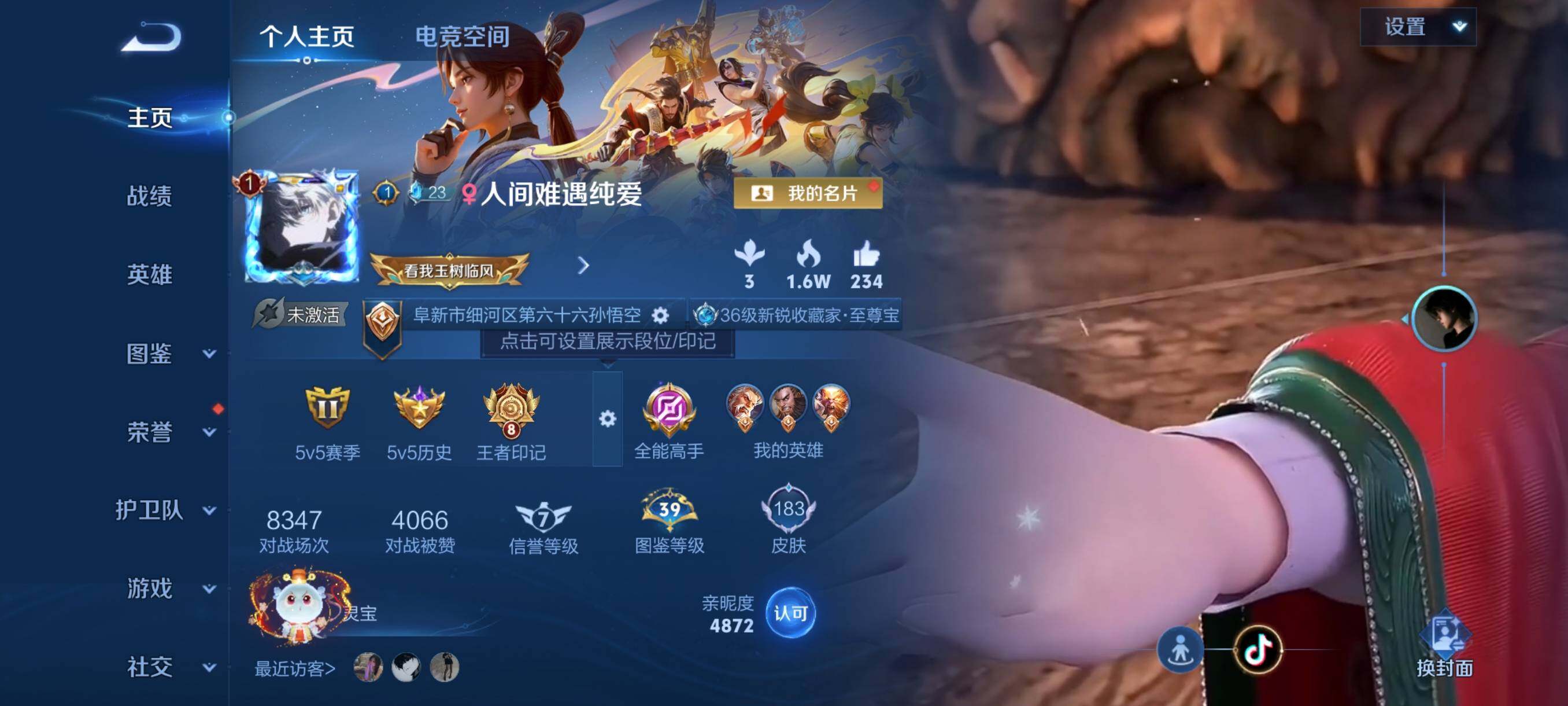 WZJZ3198627王者荣耀账号详情图5 WZJZ3198627王者荣耀账号详情图5